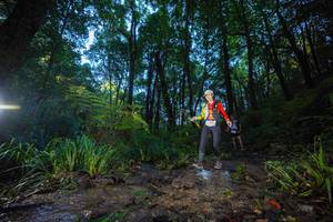 BIB: 
                            <button type="button" onclick="openModal(19235356)" class="btn btn-primary btn-sm float-right btn-popup" data-toggle="modal" data-target=".modal-high-quality">
                        <i class="fas fa-shopping-cart"></i> Add to Cart
                    </button>
                                            <button type="button" onclick="isThisMe(19235356, true)" class="btn btn-success btn-sm float-right btn-popup btn-isme hidden" data-toggle="tooltip" data-placement="bottom" title="นี่คือรูปของคุณใช่ไหม คลิกที่นี่เพื่อเอาเข้าอัลบั้ม">
                        <i class="fas fa-plus"></i> Add to album
                    </button>
                    <button type="button" onclick="isThisMe(19235356, false)" class="btn btn-warning btn-sm float-right btn-popup btn-isnotme hidden">
                        <i class="fas fa-ban"></i> Remove from album
                    </button>